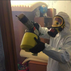 Уничтожение клопов в квартире. Чермоз